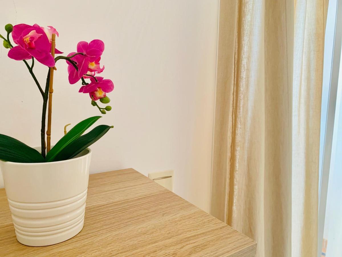 Homely Malaga Parras Con Terraza Interior Y Parking Privado Bajo Suplemento Exteriör bild